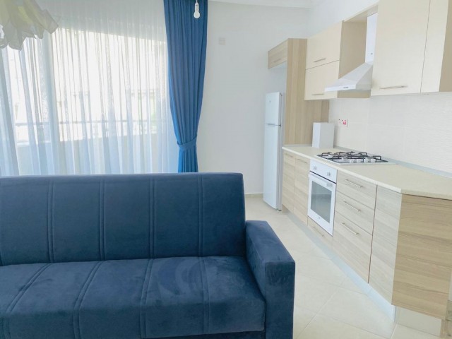 Karaoglanoglu area 1+1 flat for rent