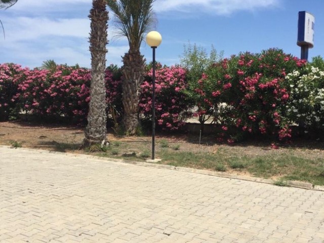 ویلا برای اجاره in Long Beach, ایسکله