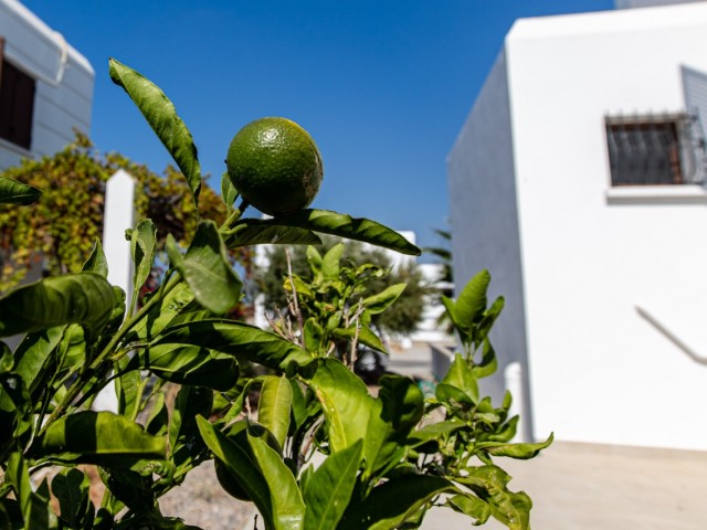 GERÄUMIGE HELLE VILLA MIT PRIVATEM GARTEN MIT MEER- UND BERGBLICK 5 MINUTEN VOM STRAND ENTFERNT