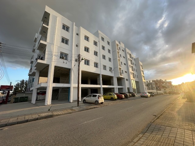 2+1 FLATS WITH TURKISH KOÇANLI IN GÖNYELİ