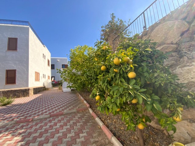 Cyprus Kyrenia Karmi 3+1 Duplex Villa with Sea View for Rent with Pool ** 