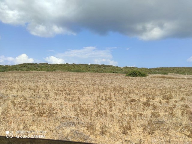 42 Acres of Land for Sale in Dipkarpaz ** 