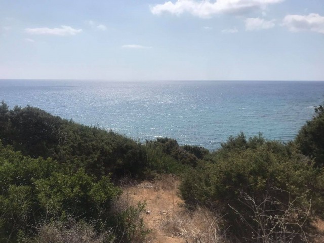 42 Acres of Land for Sale in Dipkarpaz ** 