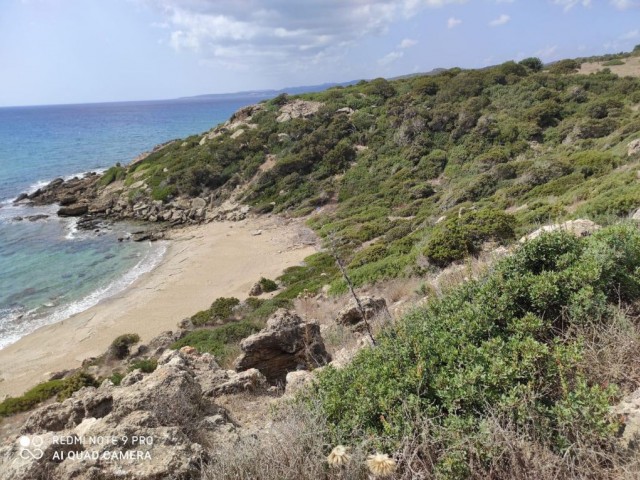 42 Hektar Land zum Verkauf in Dipkarpaz ** 