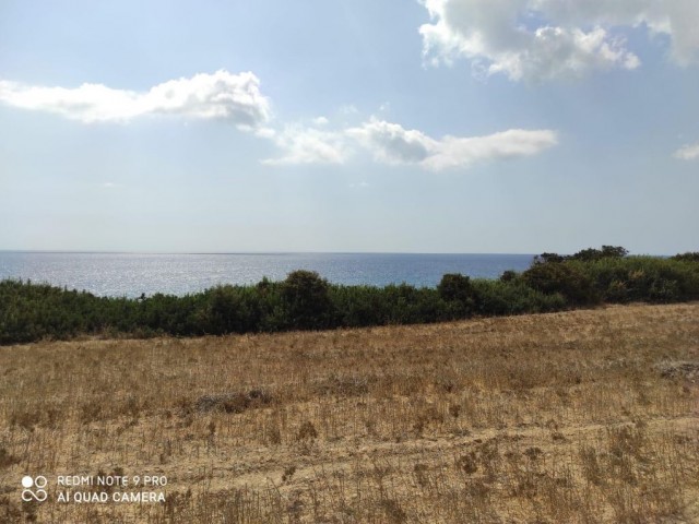 42 Acres of Land for Sale in Dipkarpaz ** 