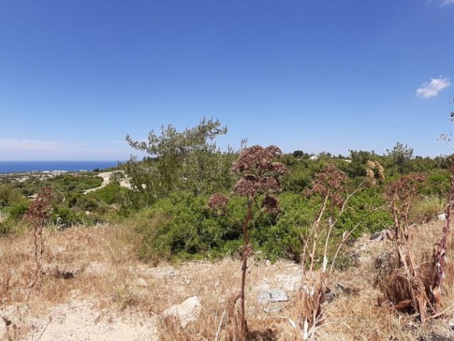 10 Acres of Land for Sale in Yenierenkoy ** 