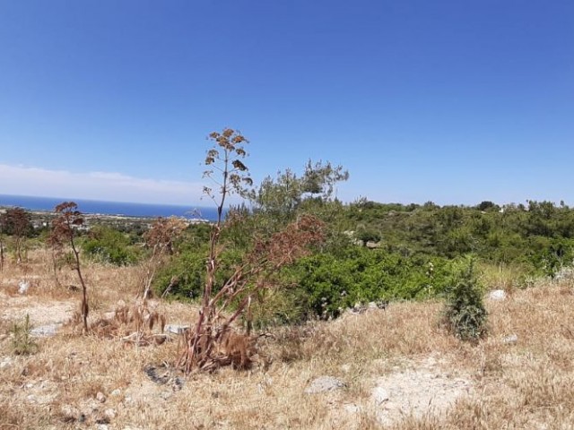 10 Acres of Land for Sale in Yenierenkoy ** 