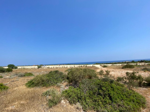 3.5 Acres of Land for Sale in Yeni Erenköy! ** 