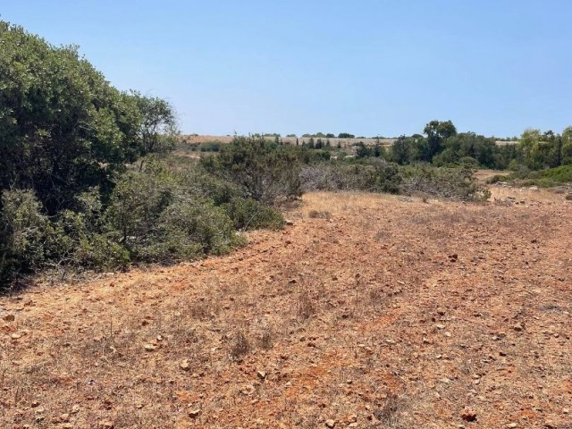 1 Acre of Land for Sale in Yenierenkoy ** 