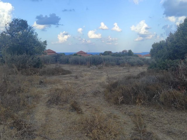 14 DÖNÜM OF LAND ON KAYALAR İN KYRENİA,NEAR THE SEA