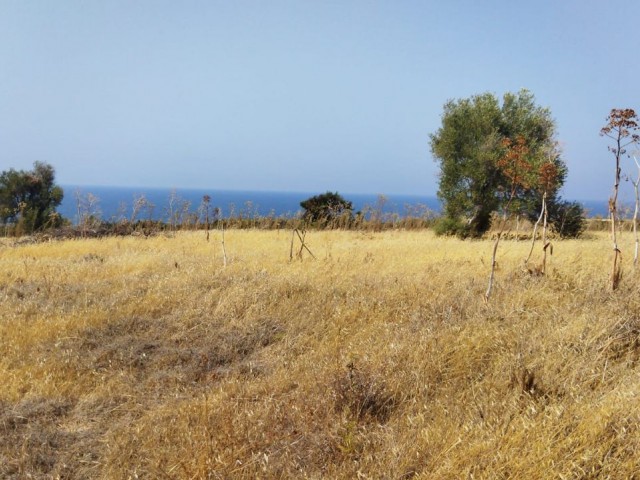 Land for sale in the Kaplıca.