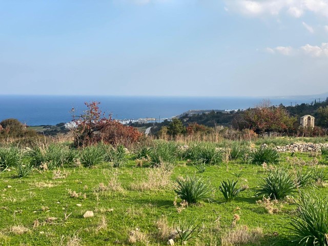 Girne Bahçeli`de Satılık 9 Dönüm 3 Evlek Arazi