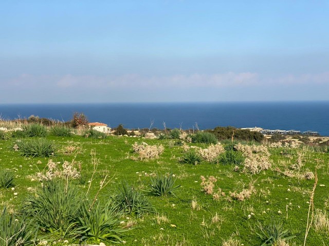 9 Acres of 3 Houses for Sale in Girne Garden ** 