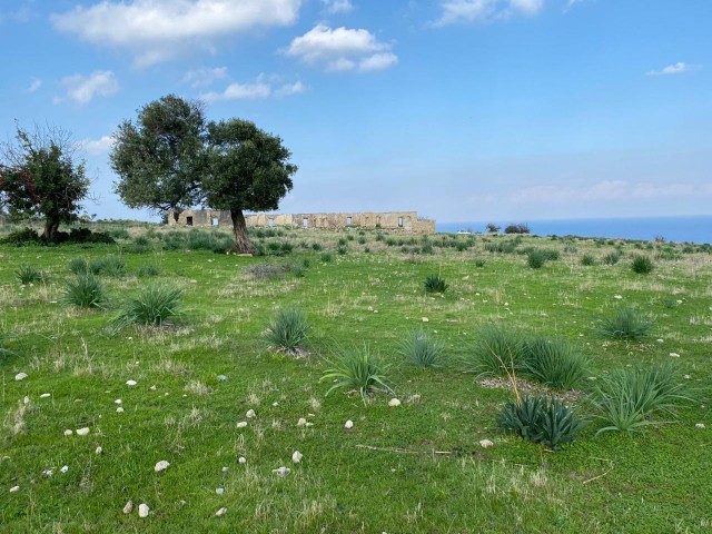 9 Acres of 3 Houses for Sale in Girne Garden ** 