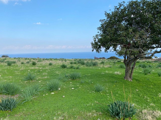 9 Acres of 3 Houses for Sale in Girne Garden ** 