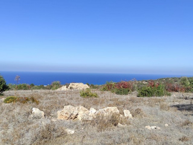 منطقه مسکونی برای فروش in Sipahi, ایسکله