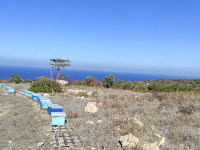 Residential Zoned Plot For Sale in Sipahi, Iskele