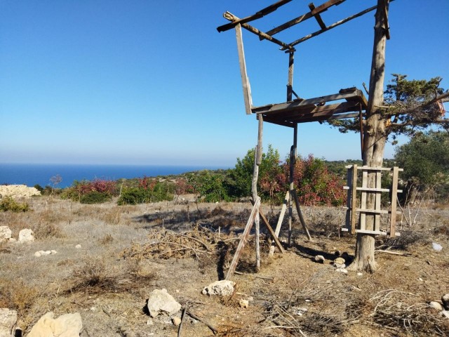 Wohngebiet Kaufen in Sipahi, Iskele