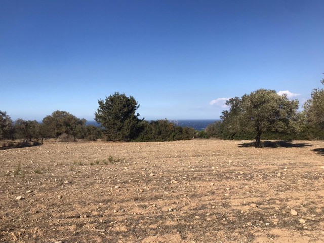 2 Hektar Land Zum Verkauf In Sipahi Mit Meerblick ** 