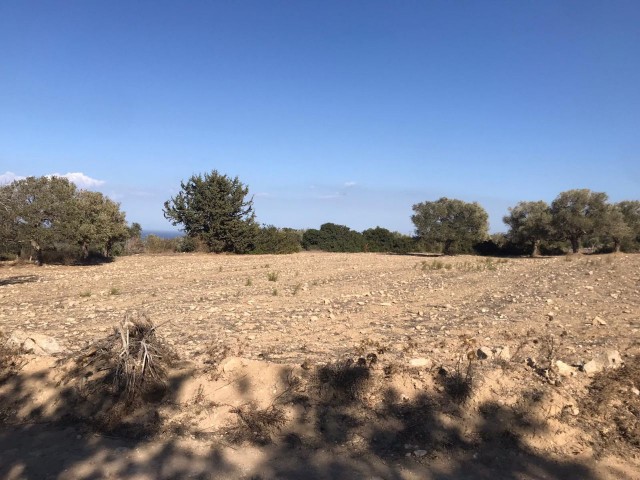 2 Hektar Land Zum Verkauf In Sipahi Mit Meerblick ** 