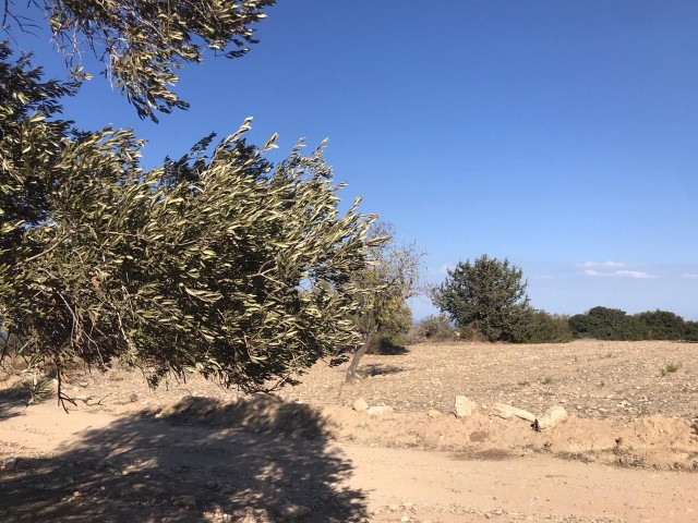 2 Hektar Land Zum Verkauf In Sipahi Mit Meerblick ** 