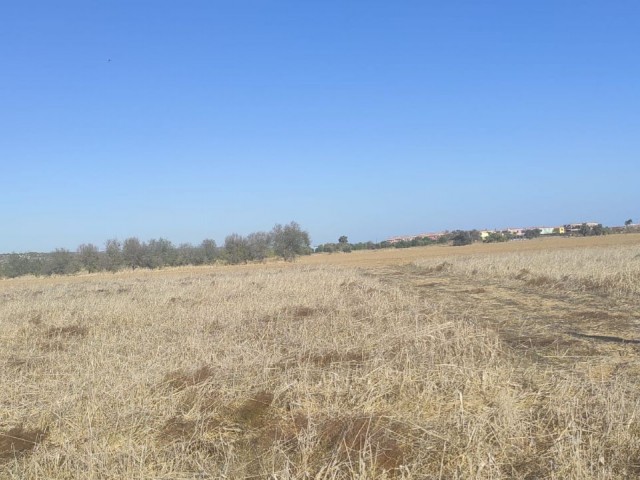 Land for sale in Kumali !!!!