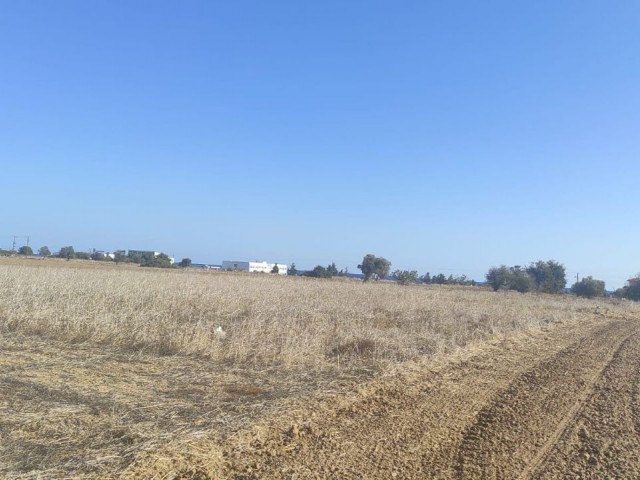 Land for sale in Kumali !!!!