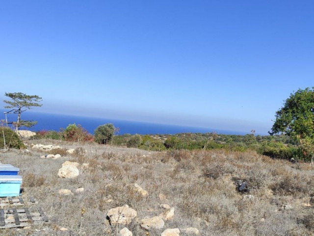 Land for sale with sea view in Sipahi!