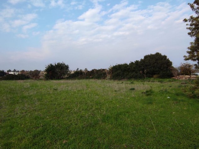 4 Decares of 1 Evlek Land for Sale in Sipahi!