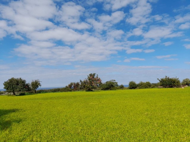 4 Hektar Land zum Verkauf in Yenierenköy ** 