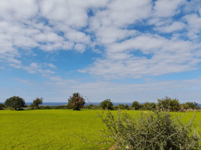 4 Hektar Land zum Verkauf in Yenierenköy ** 