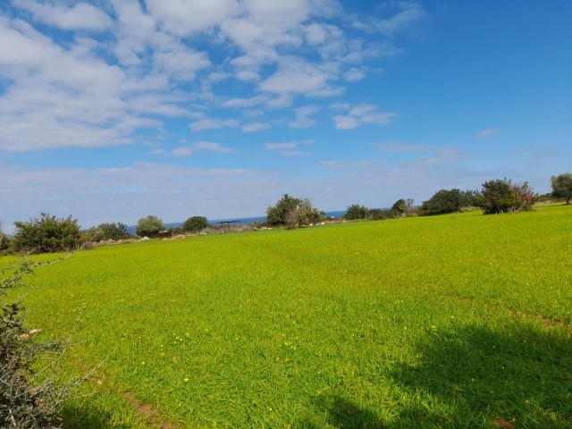 4 Hektar Land zum Verkauf in Yenierenköy ** 