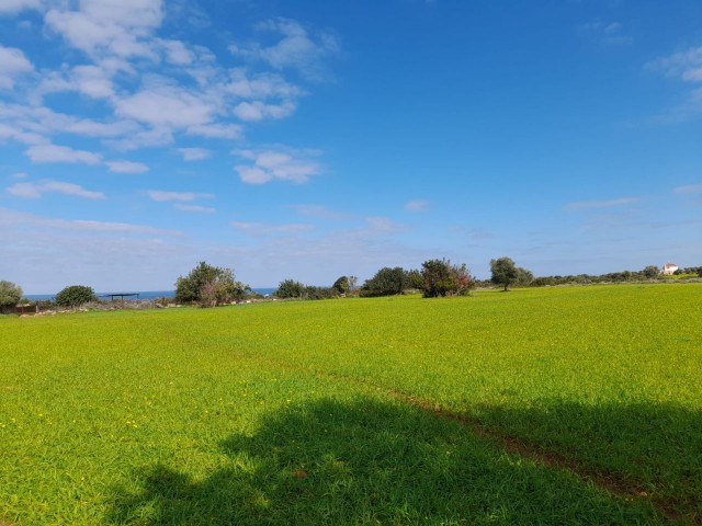 4 Hektar Land zum Verkauf in Yenierenköy ** 