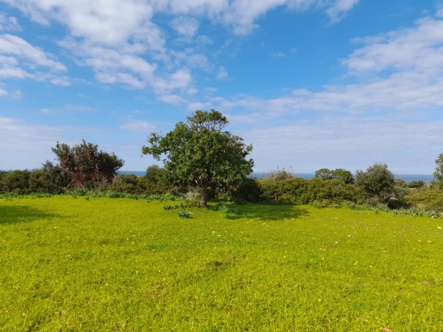 4 Hektar Land zum Verkauf in Yenierenköy ** 