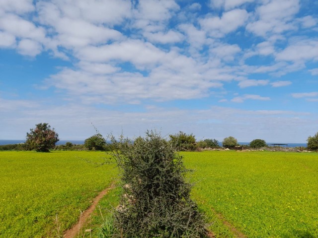 4 Hektar Land zum Verkauf in Yenierenköy ** 