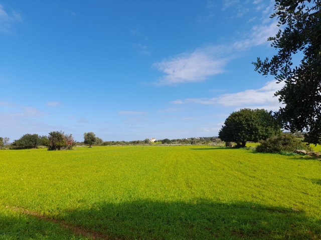 4 Hektar Land zum Verkauf in Yenierenköy ** 