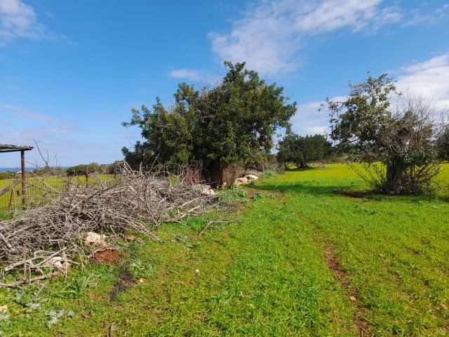 4 Hektar Land zum Verkauf in Yenierenköy ** 