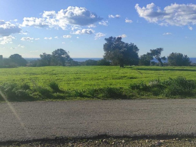 18 Hektar Land mit zonierten und Meerblick zum Verkauf in Dipkarpaz ** 