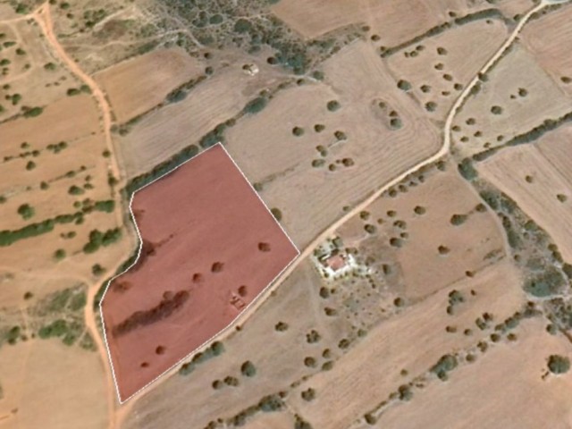 10 ACRES OF 2 EVLEK LAND FOR SALE IN YENI ERENKÖY ** 