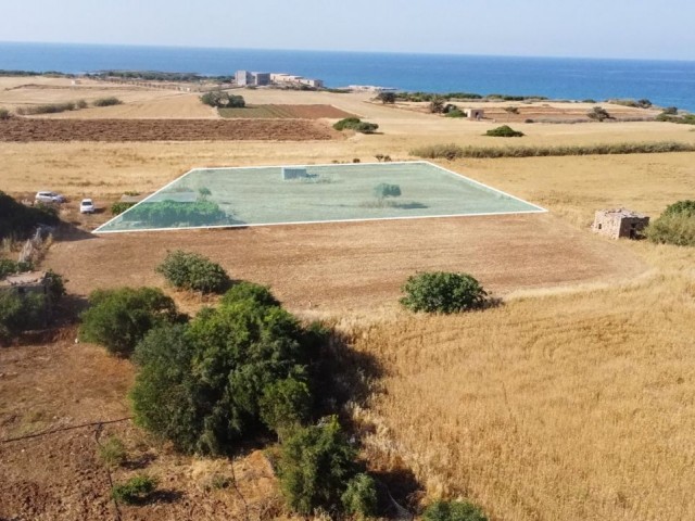 Yenierenköy, 2 Hektar Land Zum Verkauf Im Alten Hafen ** 