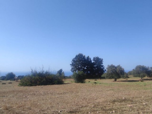 7 ACRES OF 1 HOUSE LAND FOR SALE IN ISKELE-SIPAHI ** 