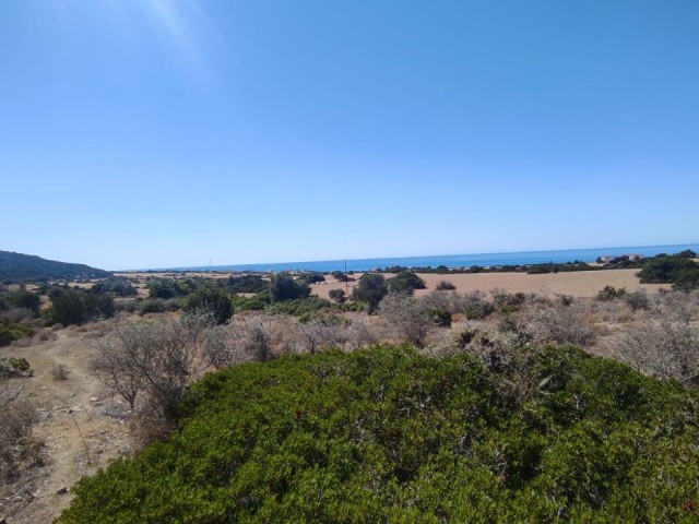 Seeblick in yeni Erenköy, 1 Hektar Land ** 