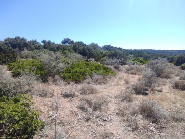 Iskele Yeni Erenköy sea view, 1 acre of land ** 