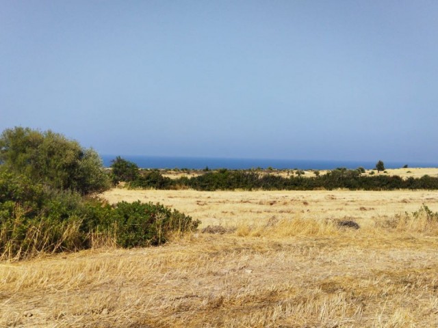 LAND FOR SALE IN ISKELE SPA AREA ** 