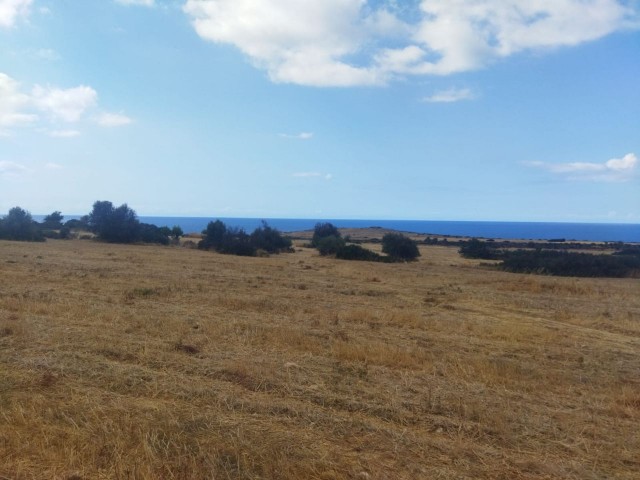 LAND FOR SALE IN ISKELE SPA AREA ** 