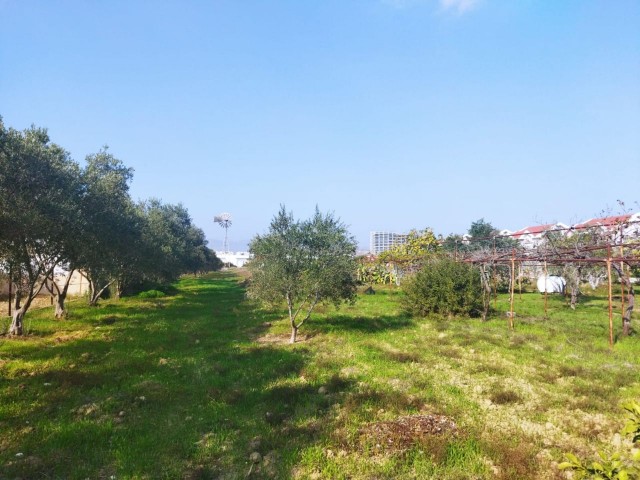 Iskele Bosphorus, 7 acres of land for sale with a villa in it ** 