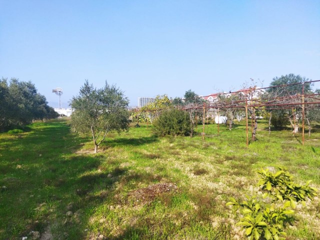 Iskele Bosphorus, 7 acres of land for sale with a villa in it ** 