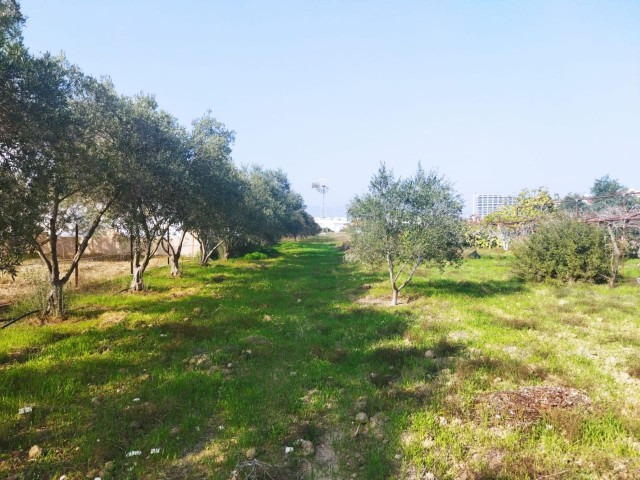 Iskele Bosphorus, 7 acres of land for sale with a villa in it ** 