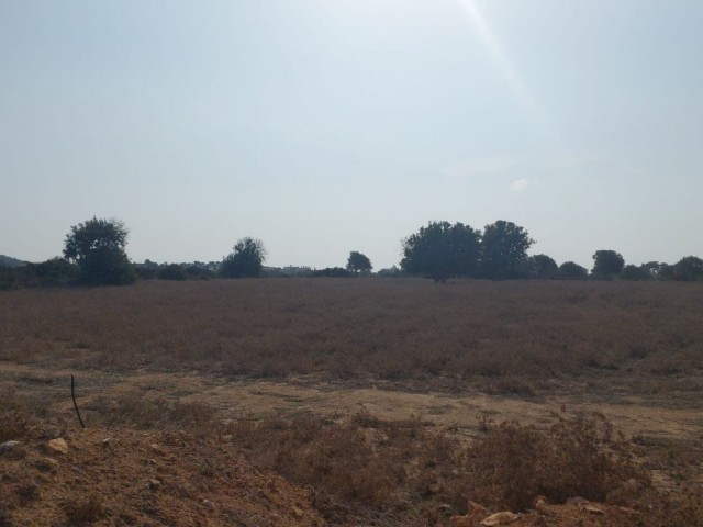 PROJECT LAND FOR SALE IN DIPKARPAZ!