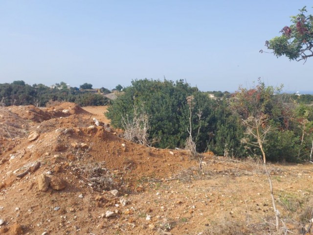 PROJECT LAND FOR SALE IN DIPKARPAZ!